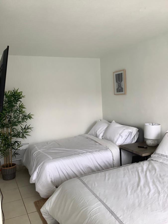 Hotel Motel Lauderdale Inn Fort Lauderdale Kültér fotó
